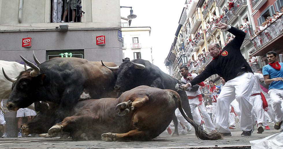 关于穆古鲁扎重返赛场，出色防守首场状态出色，公牛观众沸腾！的信息九游娱乐入口